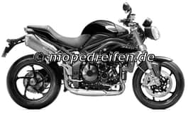 SPEED TRIPLE R AB 2012