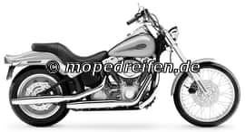 FXST/I SOFTAIL STANDARD 06-