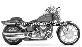 FXSTSSE SCREAMIN EAGLE SOFTAIL SPRINGER 2007