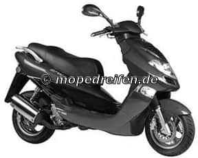 BET + WIN 125-